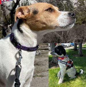 Meet your Posher, Lynn